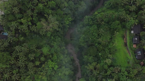 Moody-river-valley-with-light-fog,-lush-tropical-rain-forest,-aerial