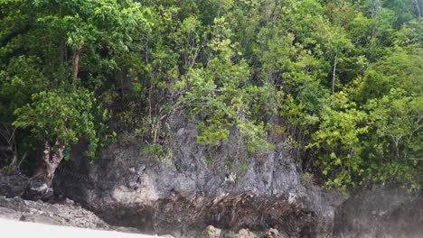 Felsige-Landschaft-Mit-Dichter-Vegetation-Am-Tropischen-Strand-In-Southern-Leyte,-Philippinen