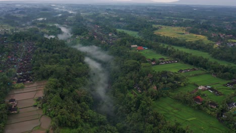 Green-lush-Bali-river-valley-flowing-through-rural-Ubud,-aerial