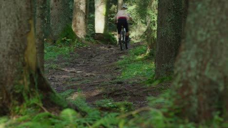 A-mountain-biker-rides-through-a-protected-forest