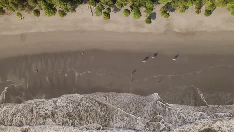 Aerial-footage-of-a-peaceful-horseback-ride-along-Manuel-Antonio-beach-during-vibrant-sunset