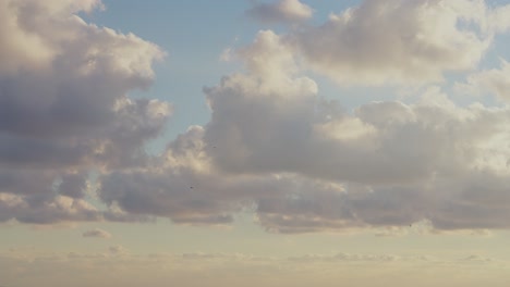 Einfache-Wolkenaufnahmen-Mit-Vorbeifliegenden-Möwen