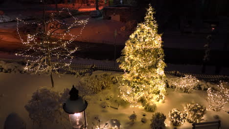 Outdoor-Christmas-tree-display-and-lights