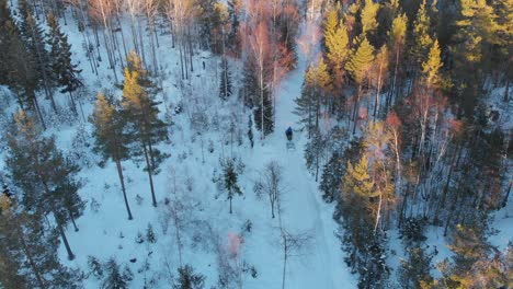 Schneemobil,-Das-Im-Winter-Eine-Langlaufloipe-Durch-Bäume-In-Einer-Verschneiten-Landschaft-Schafft