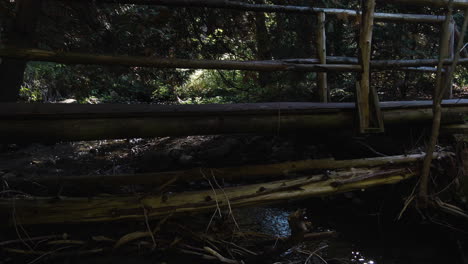 A-closeup-shot-of-a-wooden-bridge-across-the-forest-river-well-hidden-under-the-thick-foliage