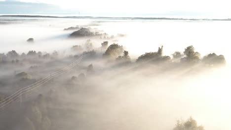 An-aerial-shot-of-a-forest-covered-in-a-thick-morning-fog