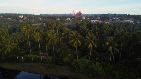 Aerial-panning-view-of-Buddhist-temple-into-tall-palm-trees-vegetation