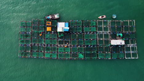 Aerial-top-down,-floating-fish-farm-in-middle-of-ocean-in-Southeast-Asia