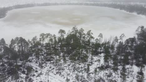 Aerial-drone-approaching-a-bog-lake-in-Meenikunno-bog-in-Estonia-in-winter