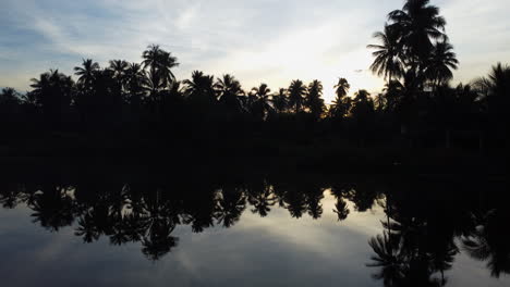 Aerial,-silhouette-of-coconut-palm-tree-forest-reflection-on-lake