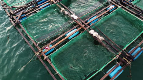 Vietnam-invasive-fishing-farm,-causing-the-rapidly-declining-state-of-the-ocean