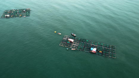 Aerial,-floating-wooden-fish-farms-floating-in-middle-of-rural-ocean