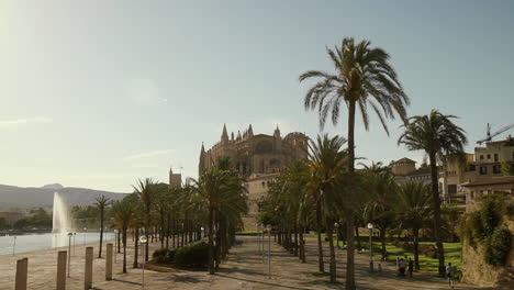 Kathedrale-Von-Palma-De-Mallorca-Und-Almudaina-An-Einem-Sonnigen-Tag