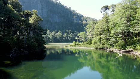 Lago-Chico-Reflejando-El-Bosque-De-Araucarias-En-El-Parque-Nacional-Huerquehue---Disparo-De-Drones