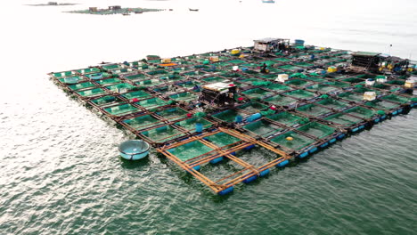 Aerial-view-fishing-farms-floating-on-sea-at-Vietnamese-coast,-seafood-industry