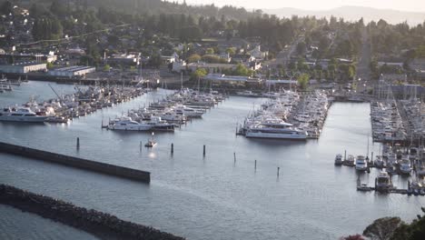 Yachts-And-Boats-Moored-At-Cap-Sante-Park-Near-The-Seawall-Seen-From-The-Park-In-Anacortes,-Washington,-United-States