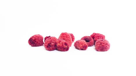 Fresh-Red-Raspberry-Fruits-Drying-Out-In-White-Background