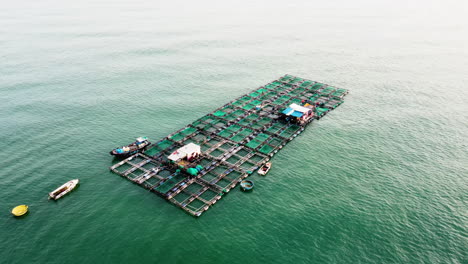 Luftfliegen-Rückwärts-Von-Fischfarmen-In-Vietnamesischen-Gewässern