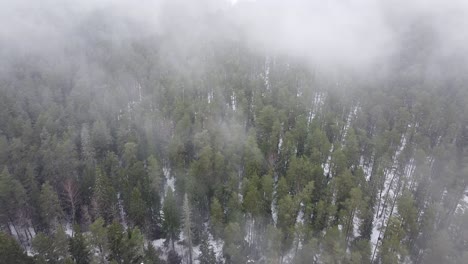 Aerial-drone-view-through-clouds,-mist-and-fog-at-snowy-spruce-tree-forest
