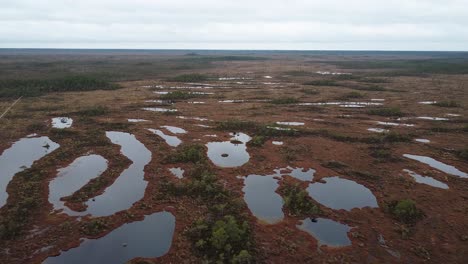 High-aerial-drone-view-of-a-bog-in-autumn