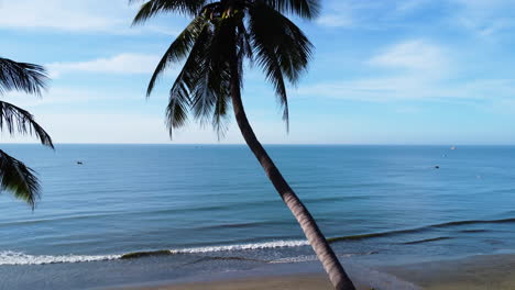 Majestätische-Palme,-Die-Sich-Am-Sandstrand-Von-Vietnam-Zum-Meer-Lehnt,-Luftaufnahme