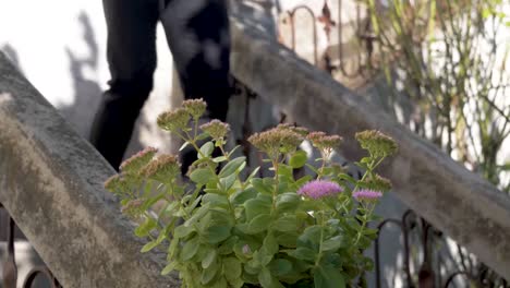 Man-in-a-suit-walking-down-the-steps-of-a-French-villa-with-wildflowers-growing-on-the-banister,-Dolly-right-reveal-shot