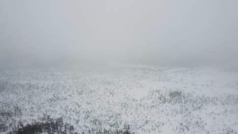 Aerial-drone-flying-through-thick-fog-and-clouds-above-Meenikunno-bog-in-Estonia-during-winter-morning