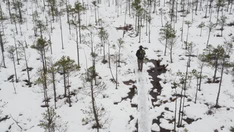 Aerial-following-view-of-a-solo-man-walking-in-a-snow-covered-bog