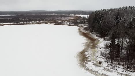 Aerial-drone-view-of-a-frozen-lake-next-to-a-forest-in-winter