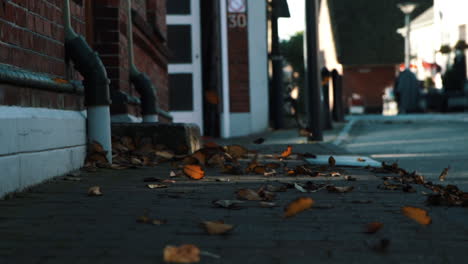 Brown-Leaves-moved-by-the-wind-on-the-pavement-on-a-windy-autumn-day