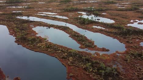 Aerial-drone-view-of-a-bog-landscape-in-autumn