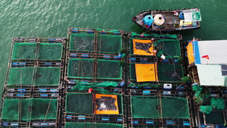 Vietnamese-floating-fishing-farms-with-national-flag-waving,-aerial-view