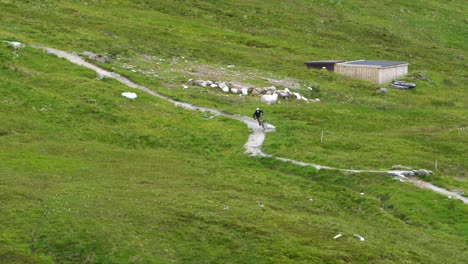 Mountainbiker-Steigt-Auf-Einem-Grauen-Kiesweg-Zwischen-Den-Grünen-Rasenflächen-Des-Höchsten-Berges-Schottlands,-Dem-Ben-Nevis,-Ab