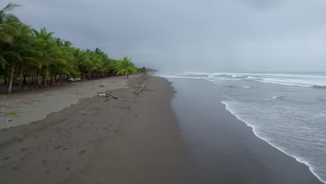 Aerial-rising-over-young-brunette-woman-walking-near-dense-jungle-in-Dominicalito-Beach-shore-on-a-cloudy-day,-Costa-Rica