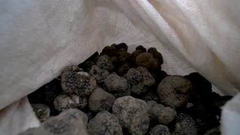 Sack-of-wild-French-black-truffles-inside-the-back-of-a-van,-Dolly-in-reveal-shot