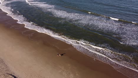 Aerial-tracking-shot-of-woman-walking-with-dog-along-coastal-sandy-beach-with-ocean-waves-in-summer---Playa-Grande,Uruguay