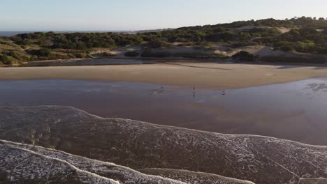 Man-running-with-dogs-on-Playa-Grande-beach-in-Punta-del-Diablo,-Uruguay