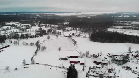 Aerial-forward-flight-over-snowy-winter-landscape-with-small-village-and-leafless-trees-in-Sweden