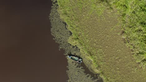 Schöne-Luftaufnahme-Des-Ochsensees-Im-Borneo-dschungel,-Malaysia-Mit-Seerosen,-Schilf-Und-Weiden