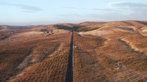 Panoramic-View-With-Asphalt-Road-On-Vast-Pistachio-Plantations-Near-Gaziantep-During-Sunset-In-Turkey