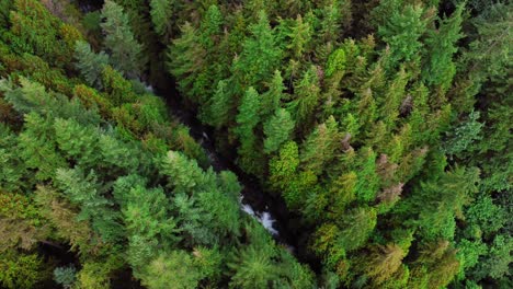 A-aerial-drone-shot-of-a-river-and-waterfall-in-a-green-forest-in-British-Columbia-Canada