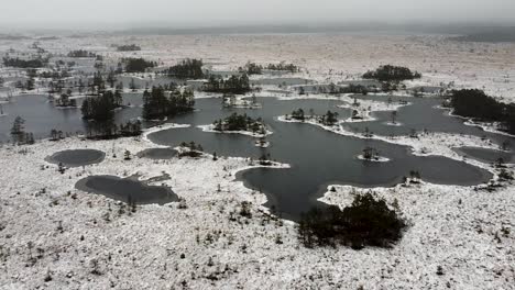 Aerial-drone-view-of-a-cluster-of-frozen-bog-lakes-in-winter