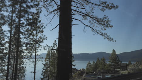 Driving-by-Douglas-Fir-Trees-and-Lake-Tahoe-in-Nevada-on-a-beautiful-winter-day