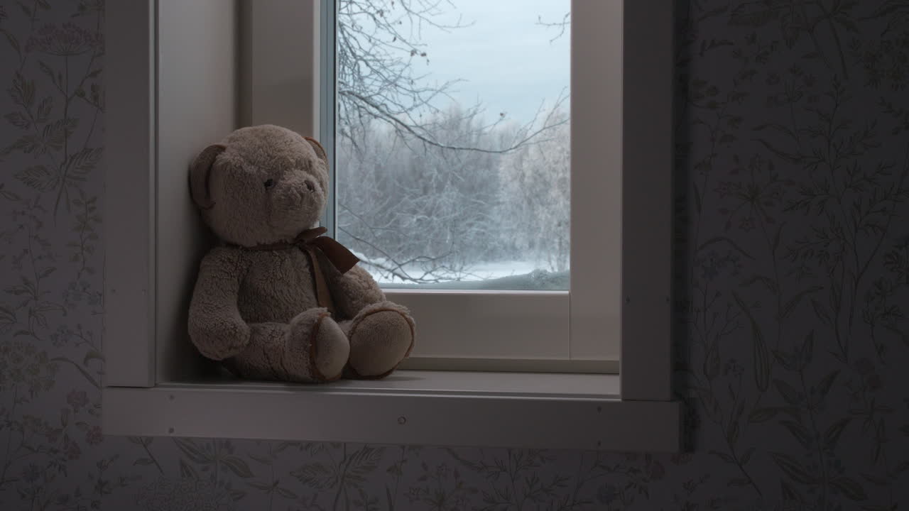 Premium stock video - Teddy bear on windowsill in winter, sadness ...