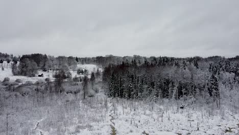 Aerial-drone-view-of-a-snowy-forest-in-the-middle-of-a-forest-and-next-to-a-lake