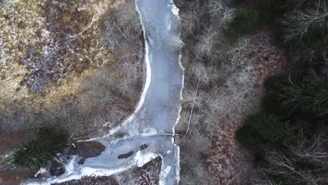 Top-down-aerial-drone-view-along-a-small-frozen-river-in-the-middle-of-the-forest