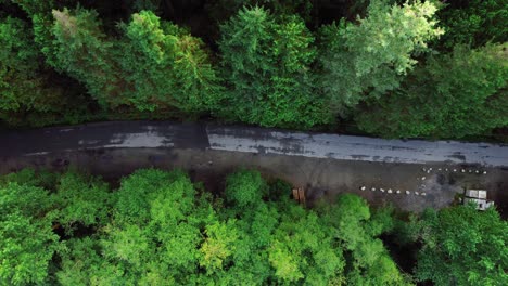 A-cinematic-drone-shot-of-a-road-heading-into-the-forest-towards-a-hiking-trail-network