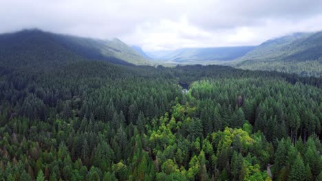 Forests-of-British-Columbia-shot-with-a-drone-on-a-cloudy-day