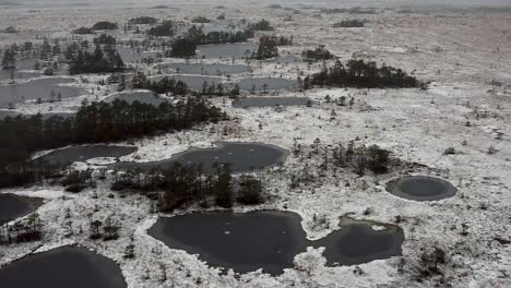 Aerial-drone-view-of-a-frozen-bog-landscape-during-winter