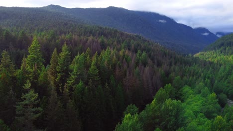 The-forests-and-mountains-of-British-Columbia-Canada-near-Vancouver-BC,-shot-with-a-drone-near-a-river